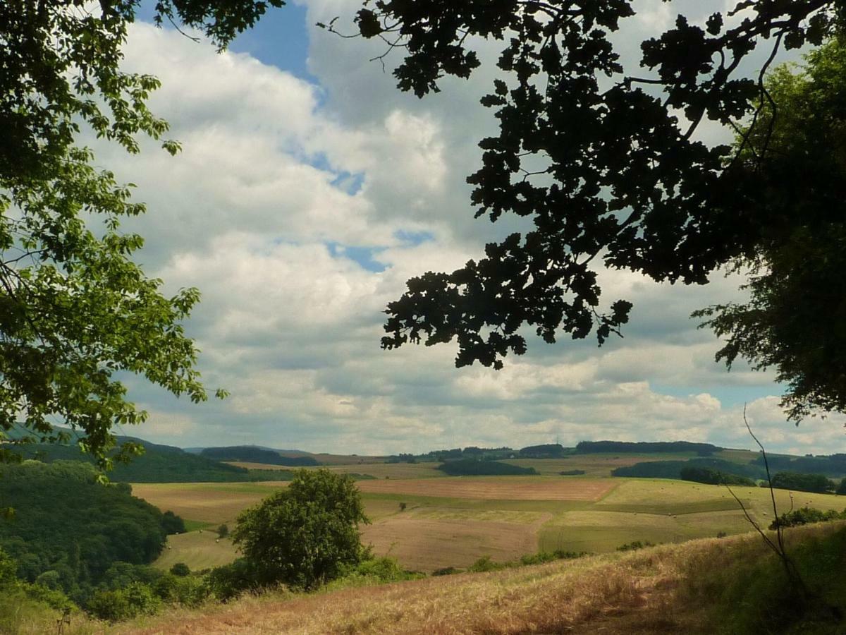 Waldgrehweiler Ferienhaus Moscheltal 빌라 외부 사진