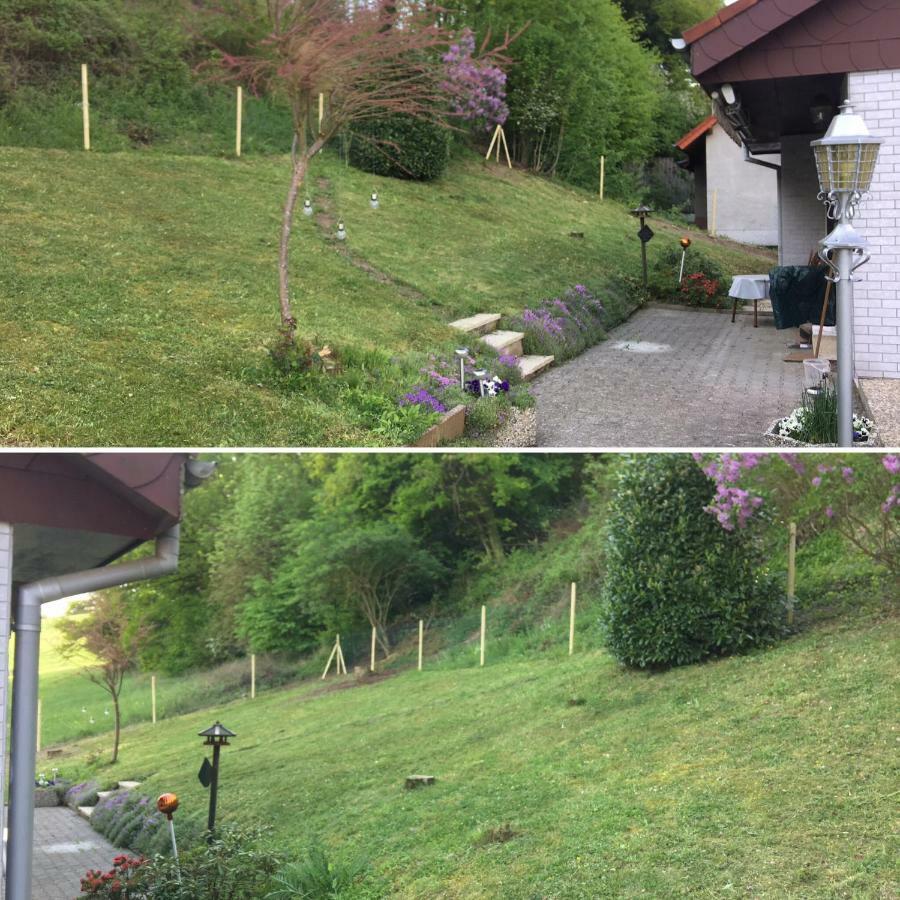 Waldgrehweiler Ferienhaus Moscheltal 빌라 외부 사진
